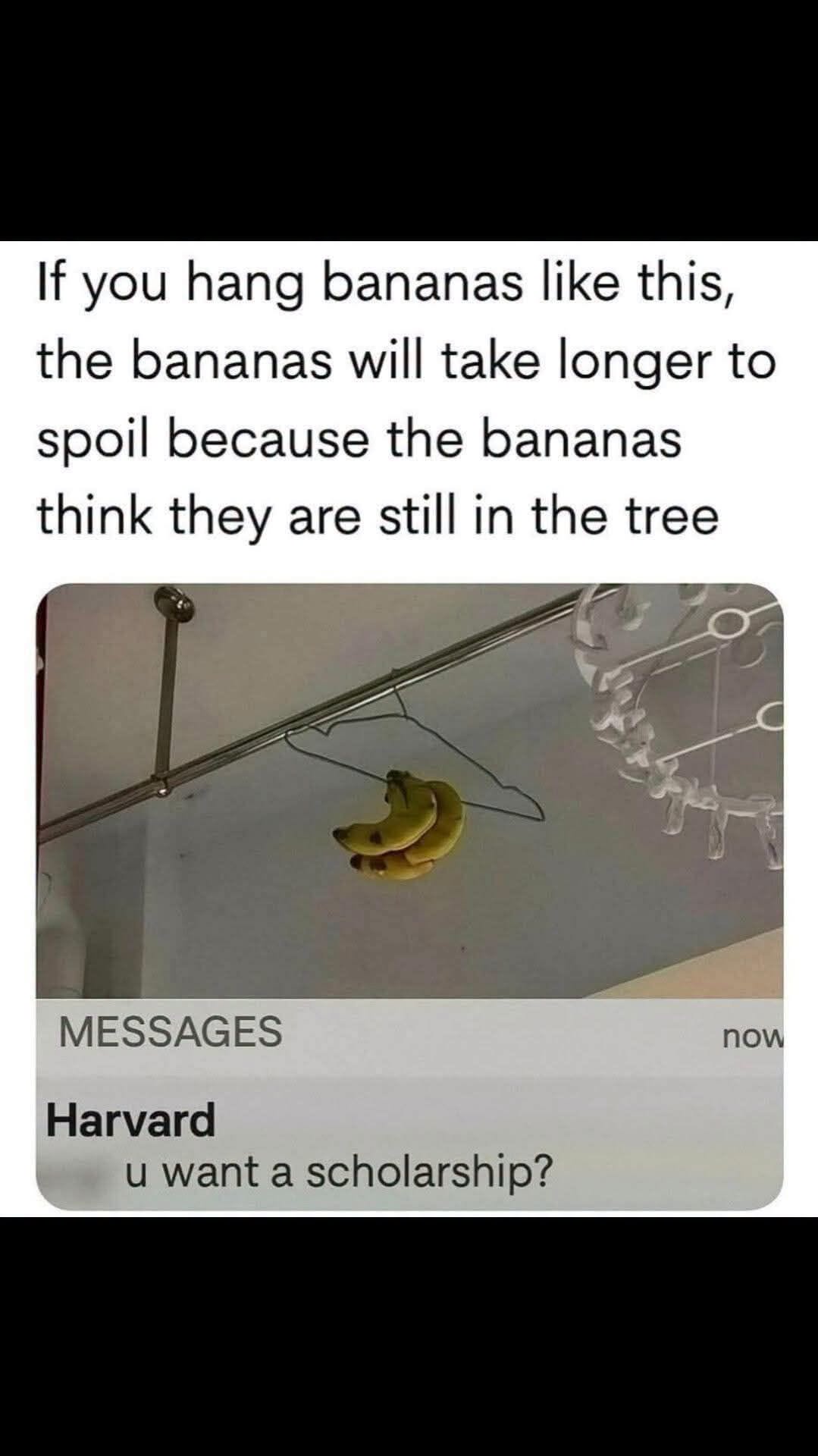 756434351_923506740786620_6791440497599032052_n.jpg