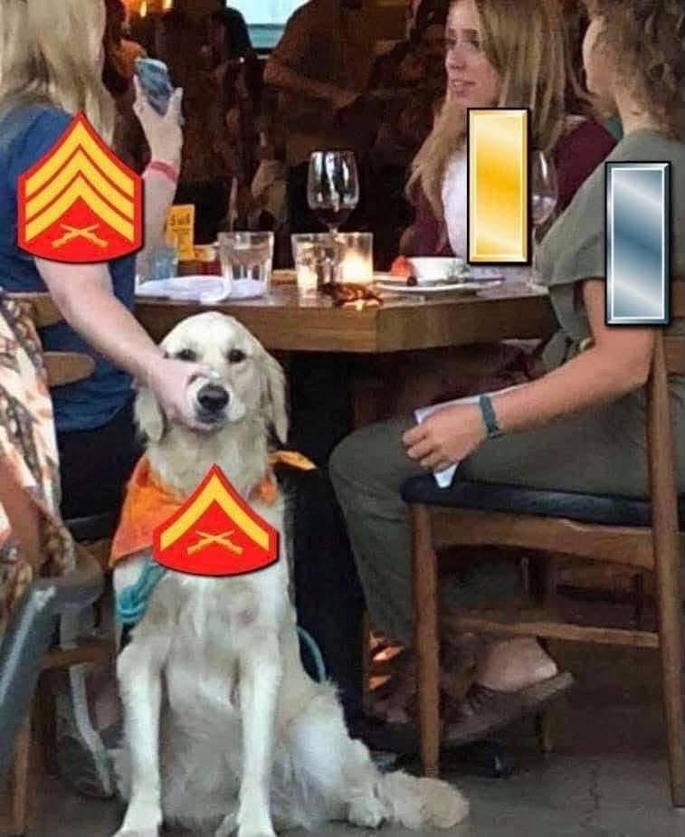 760424117_2138688880323204_6899398171008515940_n.jpg