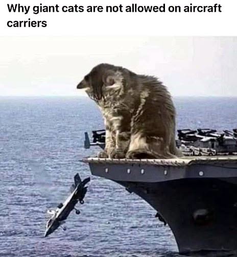 764676325_1587762736304277_3338418030315420692_n.jpg