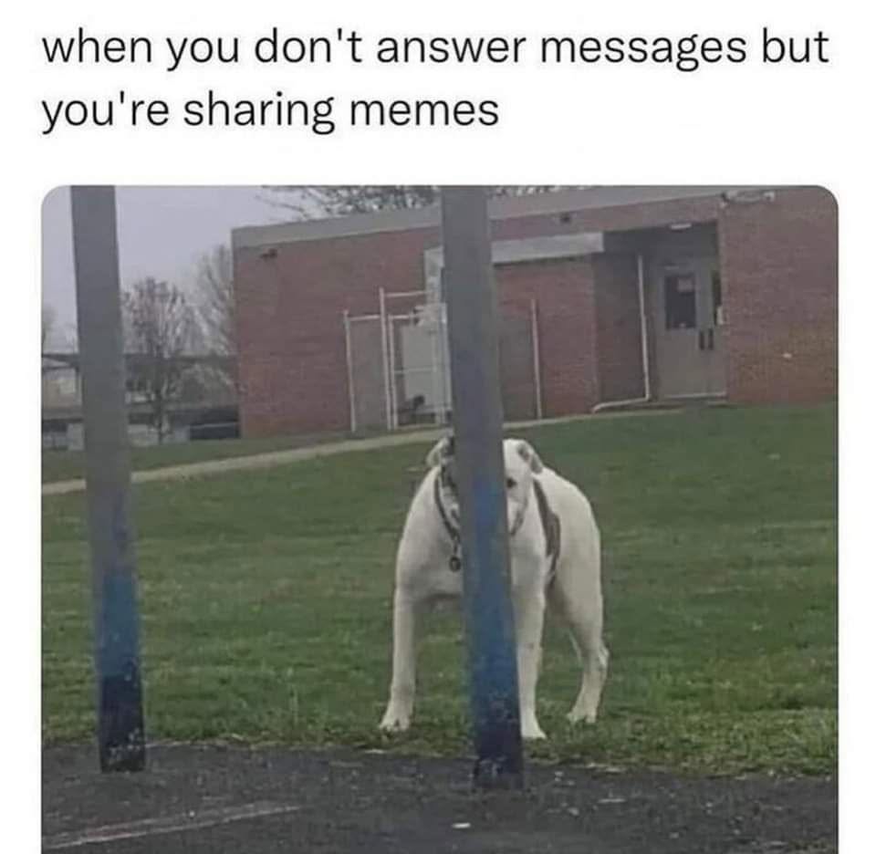 782208525_1745875583408439_5598935796035531769_n.jpg