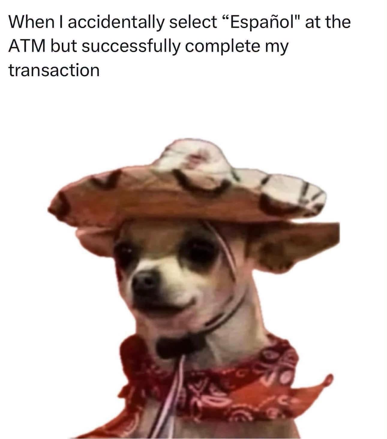 787036370_1086770720455035_8545968089704606228_n.jpg