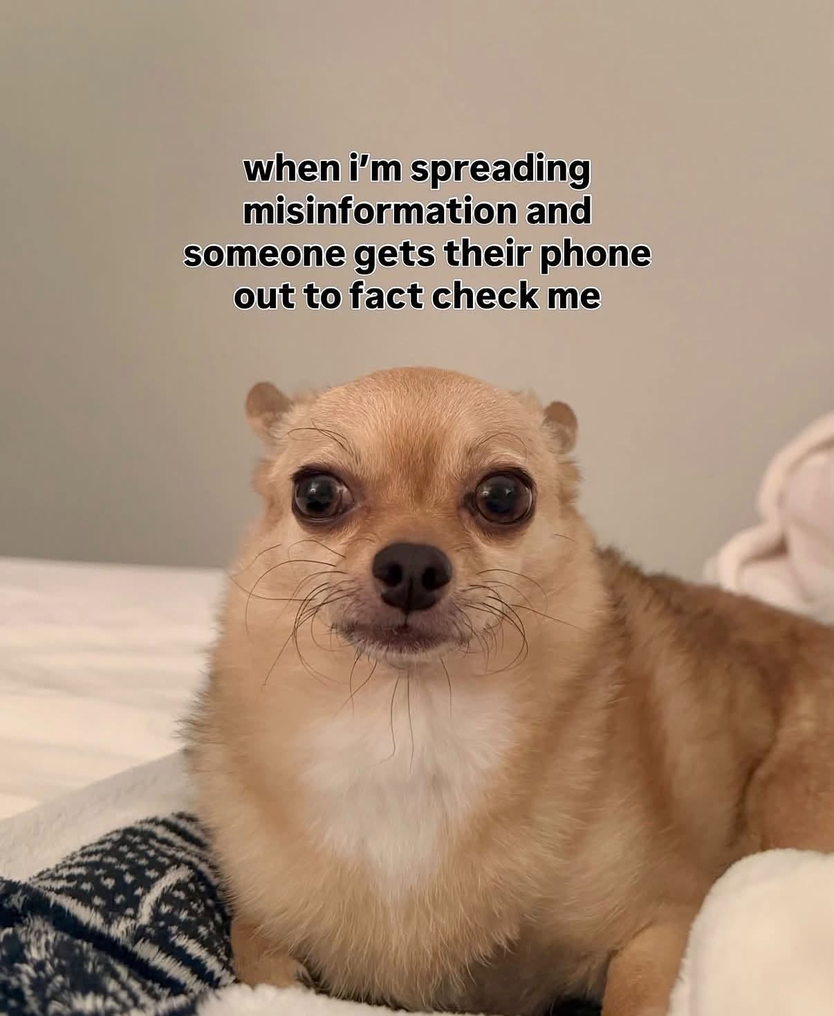 812132889_10118889083786597_3584708069153556682_n.jpg