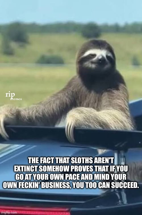 820195953_10166319438571424_4042444116076928440_n.jpg