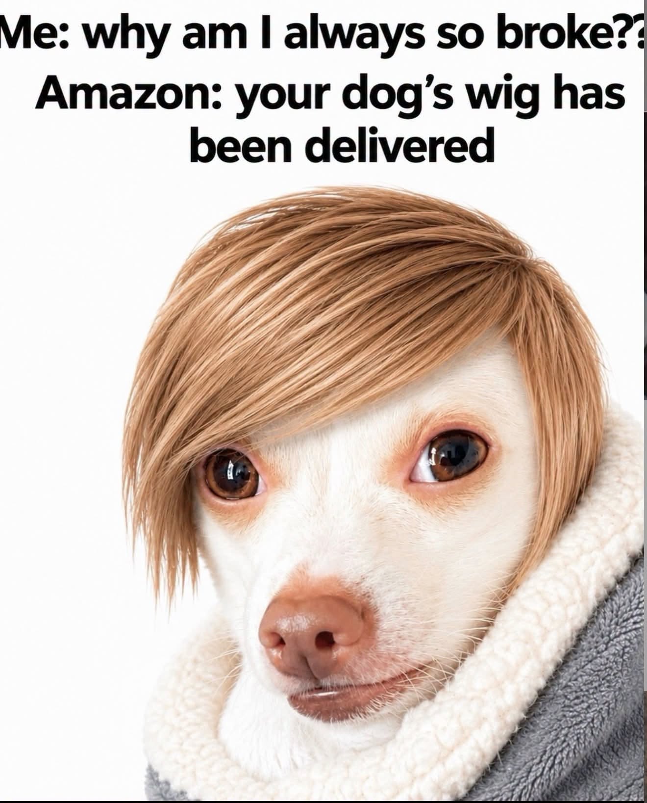 847908295_1143302624931655_2899682508501390487_n.jpg