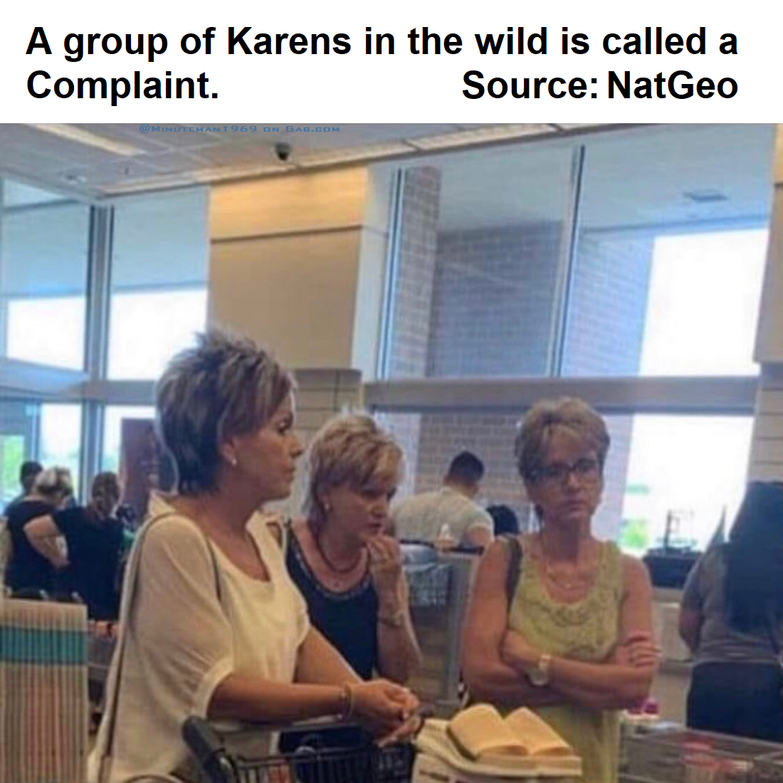 A Group of Karens Called a Complaint.png