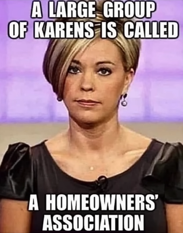 A Large Group of Karens Called an HOA.png