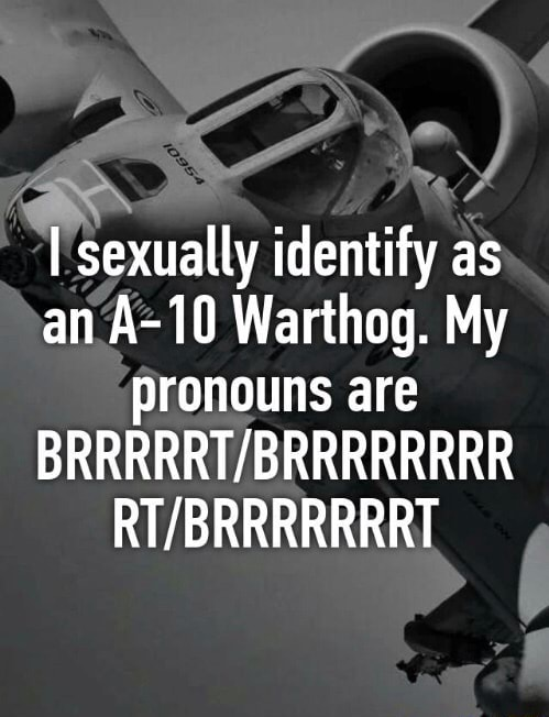 A10 warthog pronouns.png