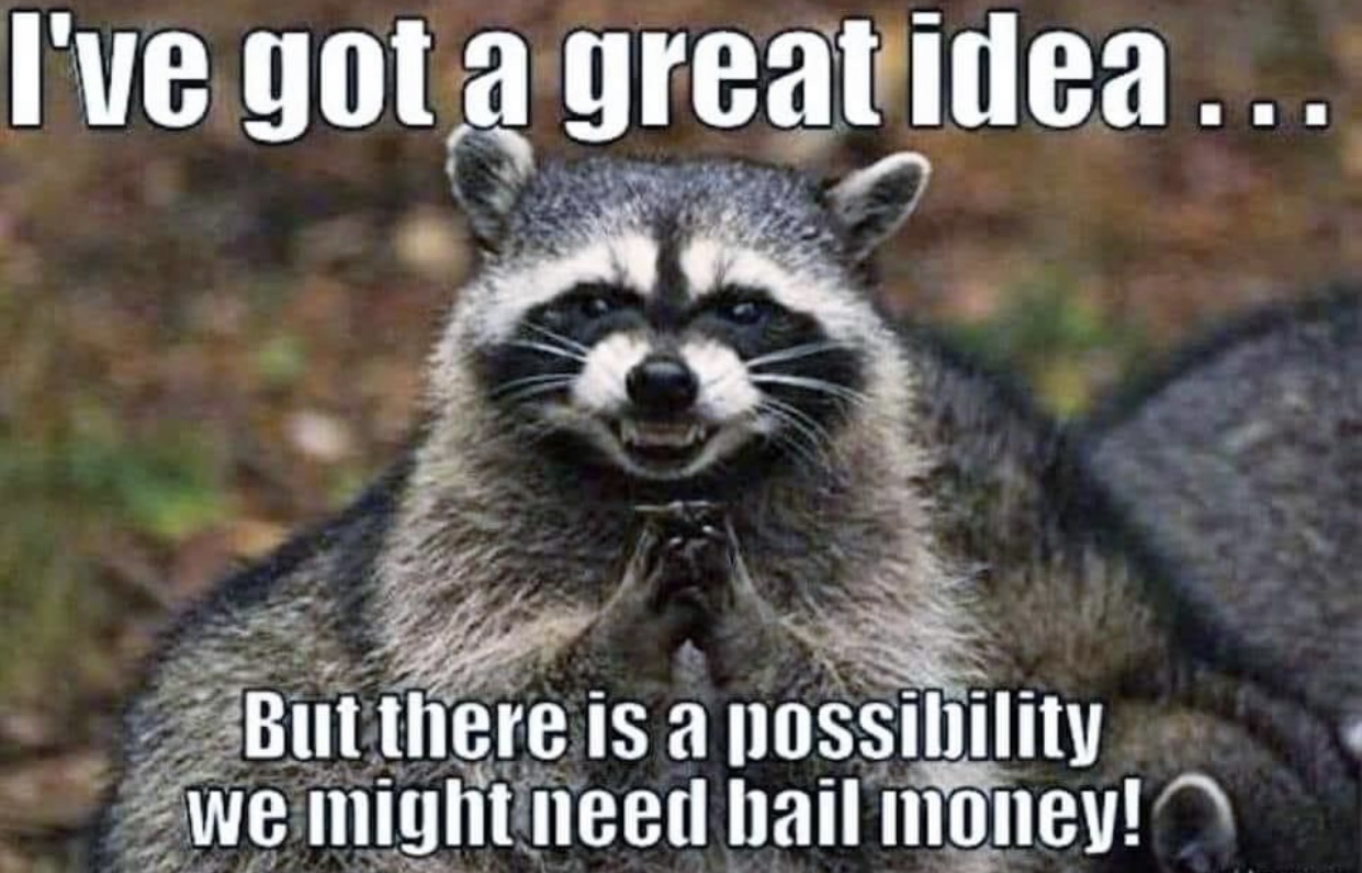 A7FCE64B-57A2-495D-B9F8-D94685EB4DAA.jpeg