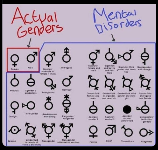 actualgender.png
