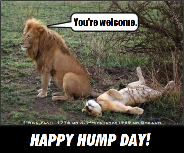 African Lions Happy Hump Day.png
