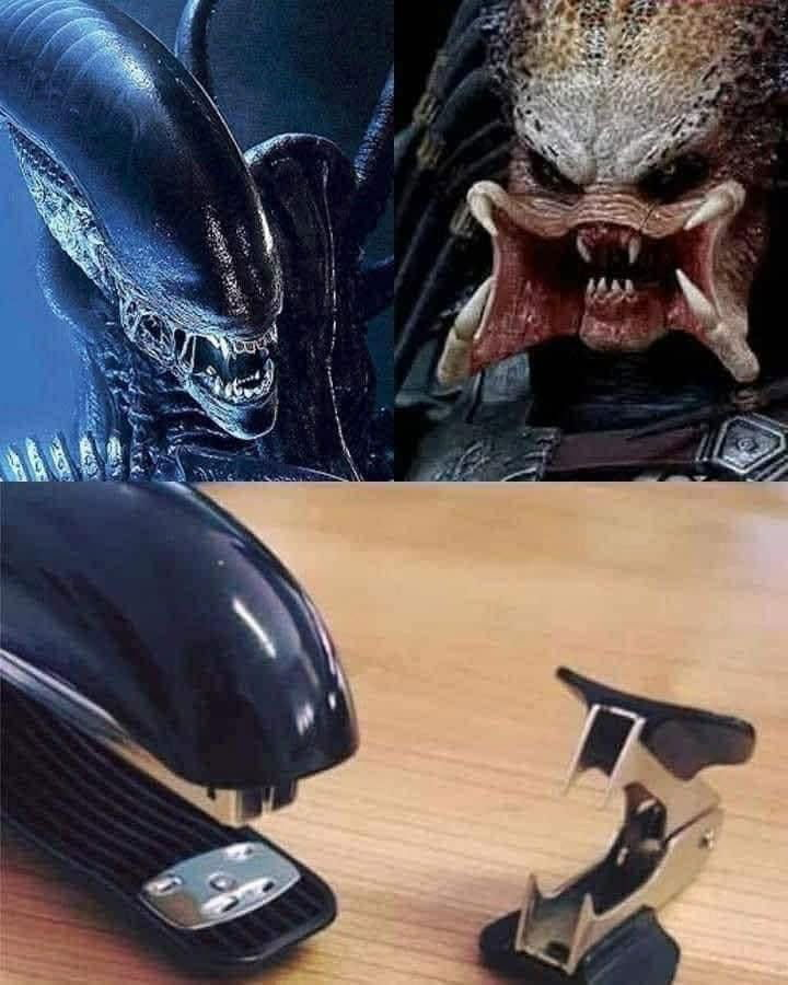 Alien + Predator Totally Looks Like.png
