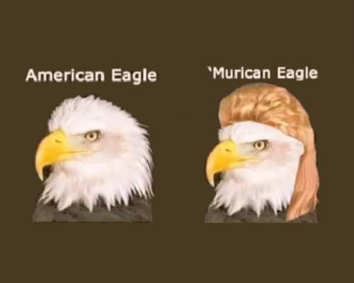 American Eagle.png