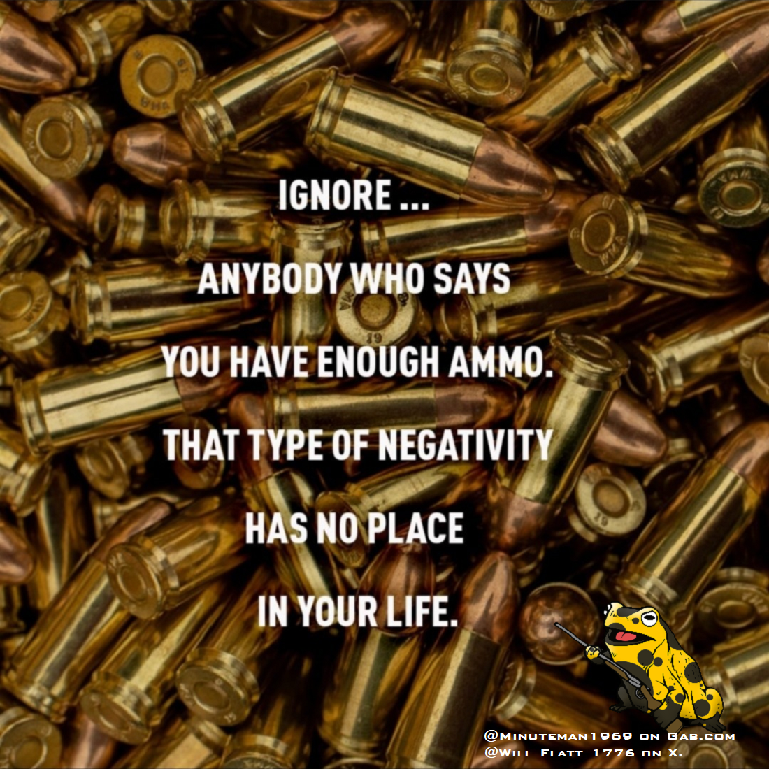 Anybody Says You Have Enough Ammo Ignore Them.png