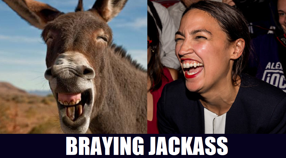 AOC Braying Jackass PNG.png