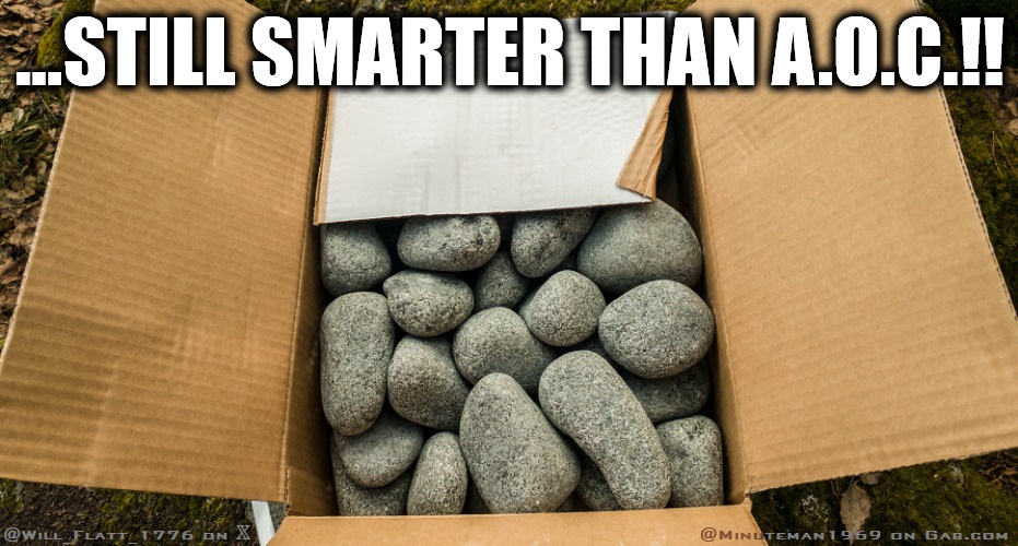 AOC Dumber Than Box of Rocks.jpg