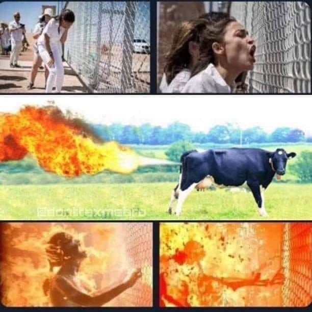 AOC T2 roasted alive by cow fart.jpg