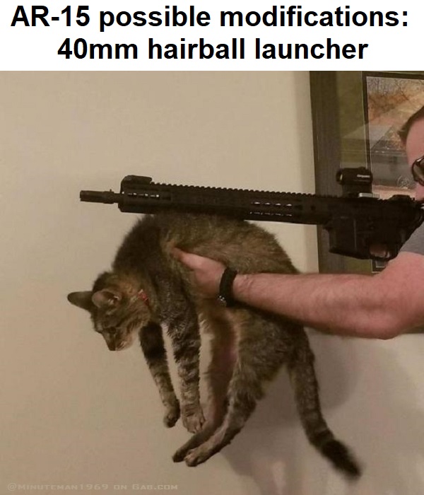 AR-15 possible modifications - 40mm hairball launcher.jpg