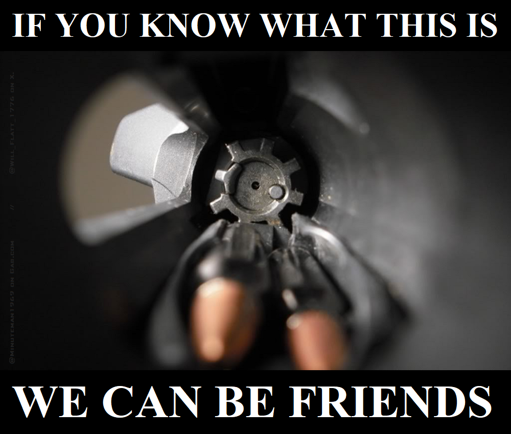 AR15 Bolt Face - If You Know What This is FRIENDS.png