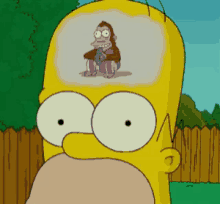 article-6aae75f4971f7.gif