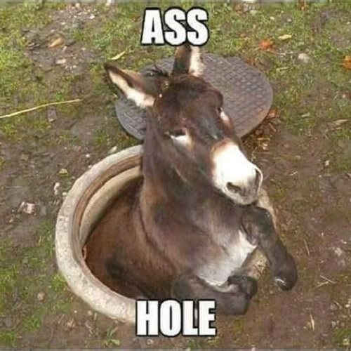 Ass Hole.png
