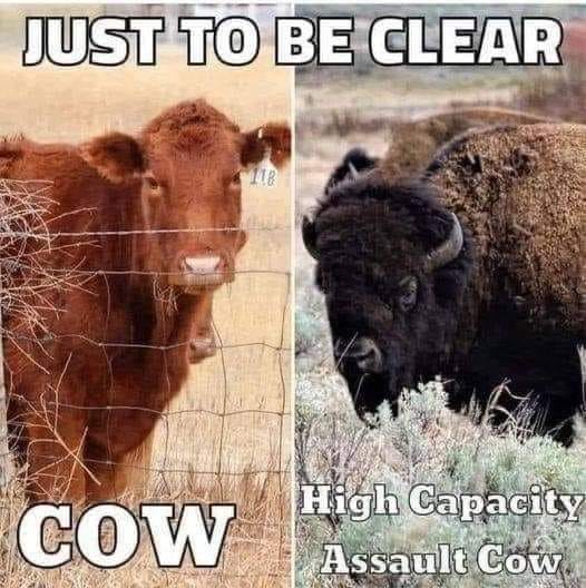 assault cow.jpgblue.jpg