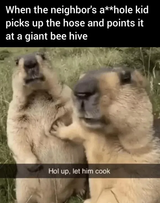 Asshole Kid Meets Beehive.png