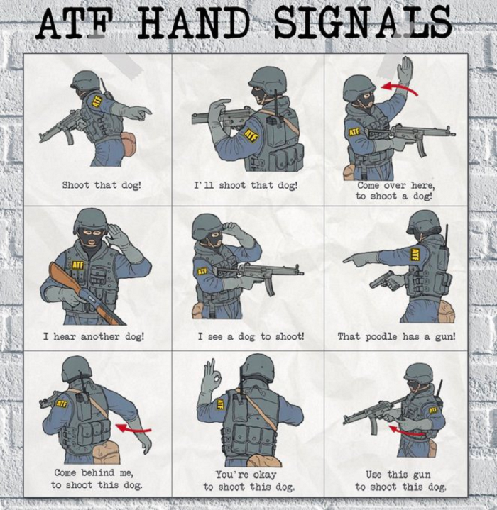 ATF Hand Signals 2.png