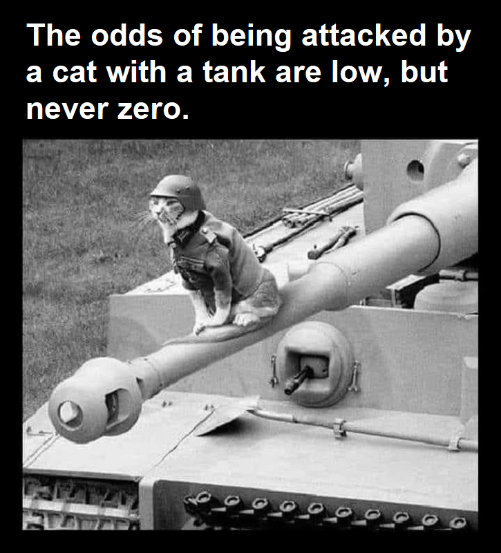 Attack By a Cat With a Tank.png