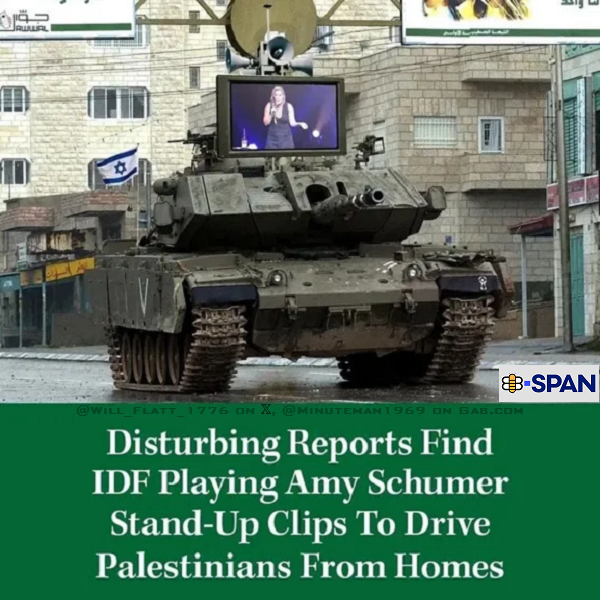 B-Span Disturbing Reports Israel-Gaza.png