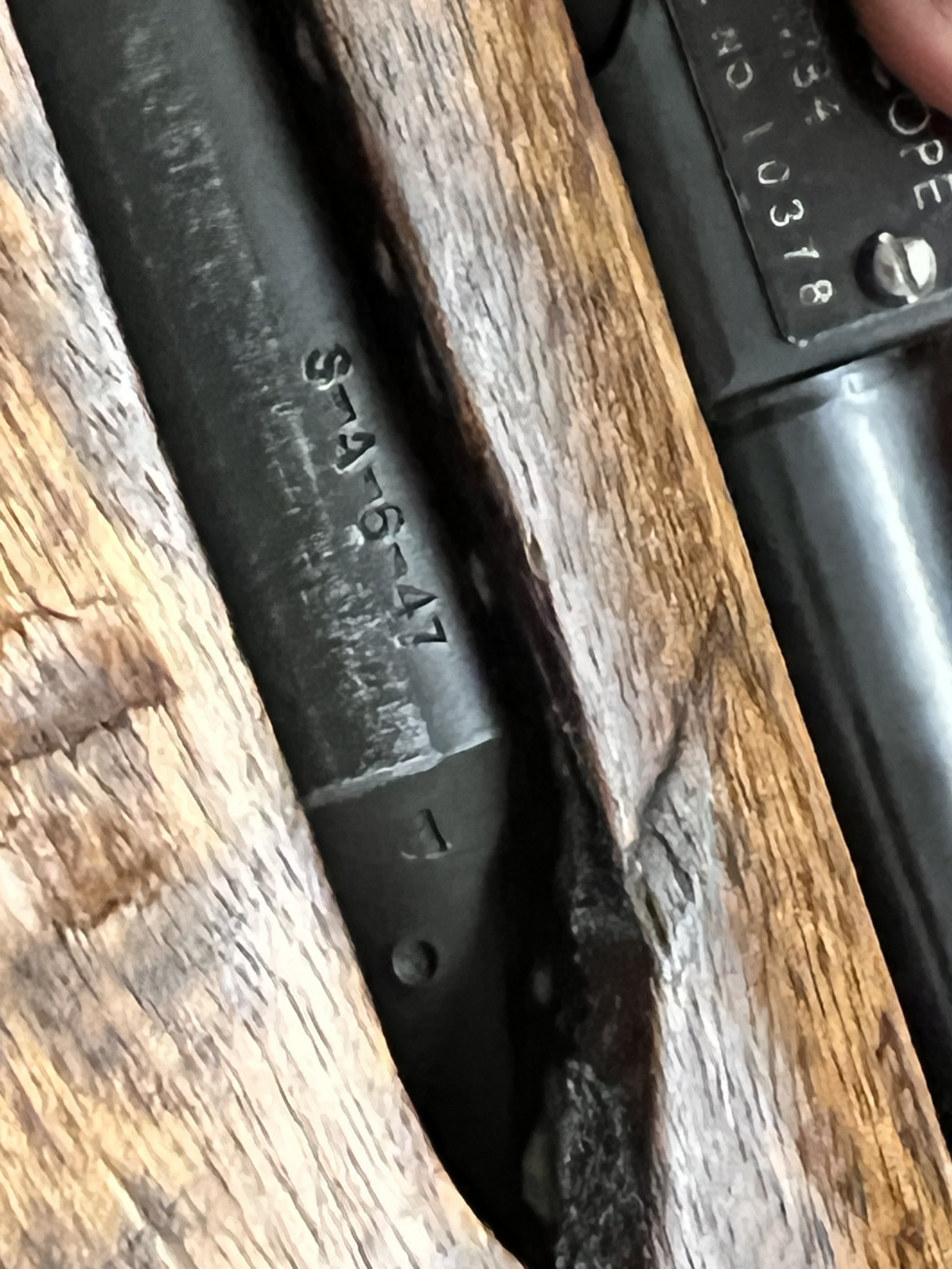 B7560917-5487-4F76-B137-1A21D44960DB.jpeg