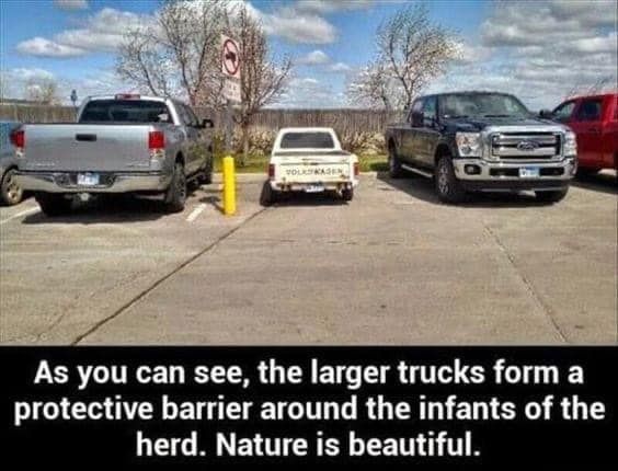 babytruck.jpg