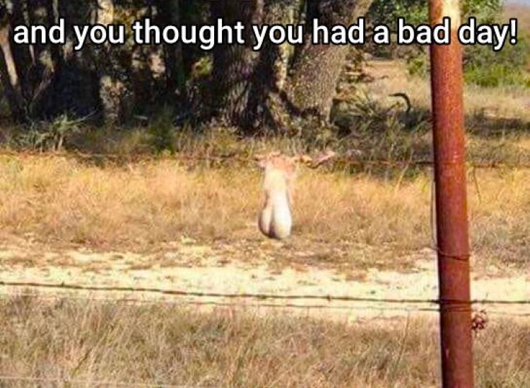 bad day.jpg