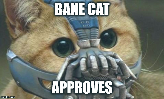 Bane Cat approves.jpg