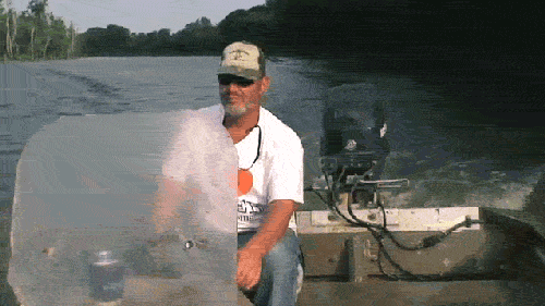 Bass in the Face.gif