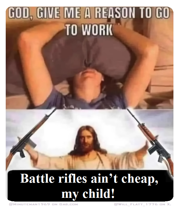 Battle Rifles Aint Cheap.png