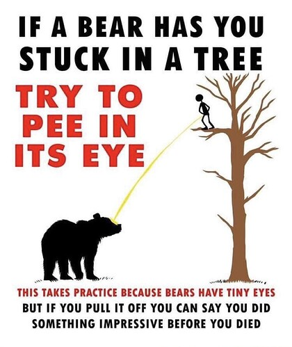 Bear **** in its Eye.png