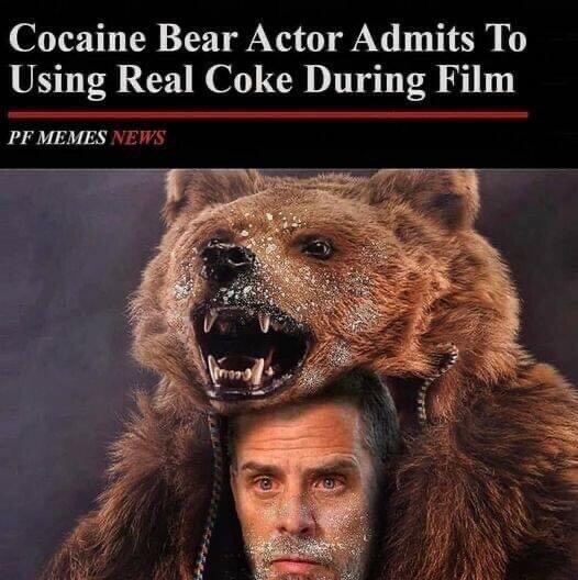 bearhunter.jpg