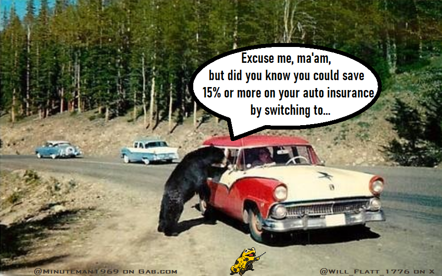 Bearly Auto Insurance.png
