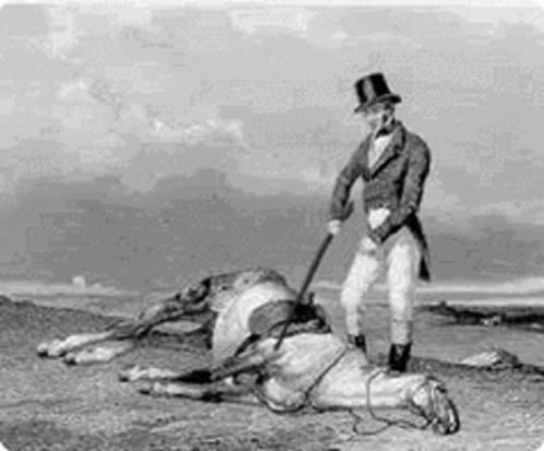 beat-a-dead-horse-spank-34oeg3biu566od95-1180497879.gif