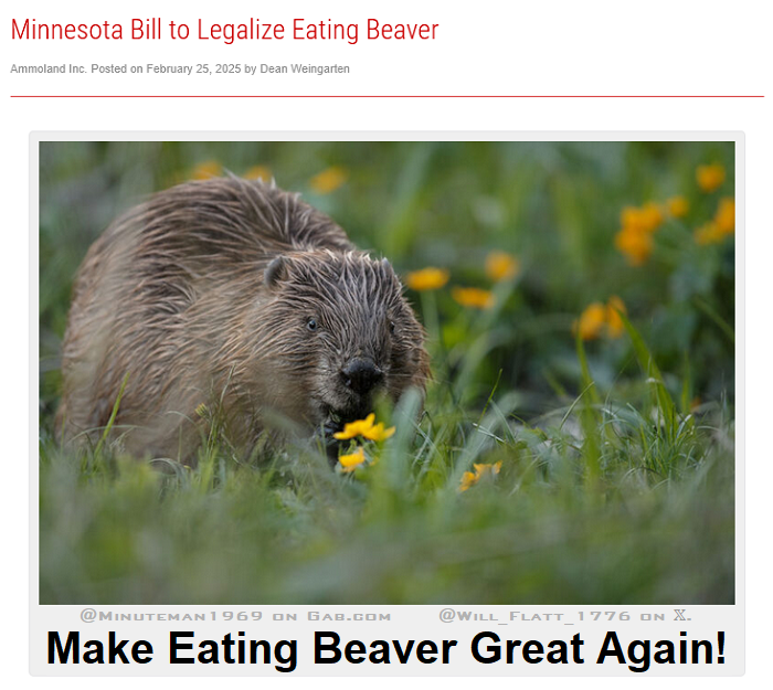 Beaver Eating.png