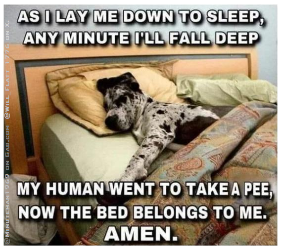 Bedtime Prayer Doggo.png