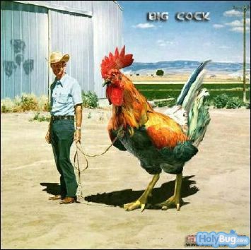 Big-cock.jpg
