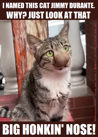 Big Honkin' Nose Jimmy Durante Cat.png