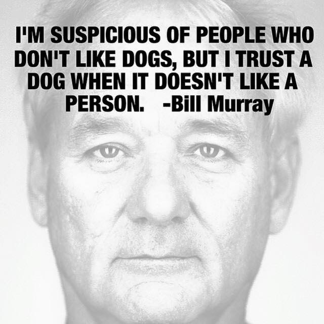 Bill Murray - dogs.jpg