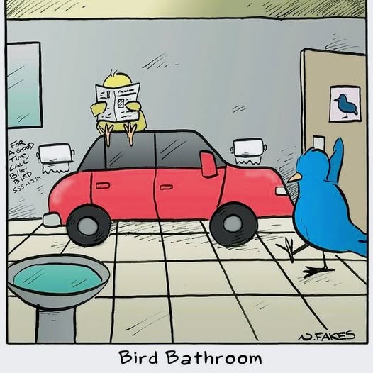birdrestroom.jpg