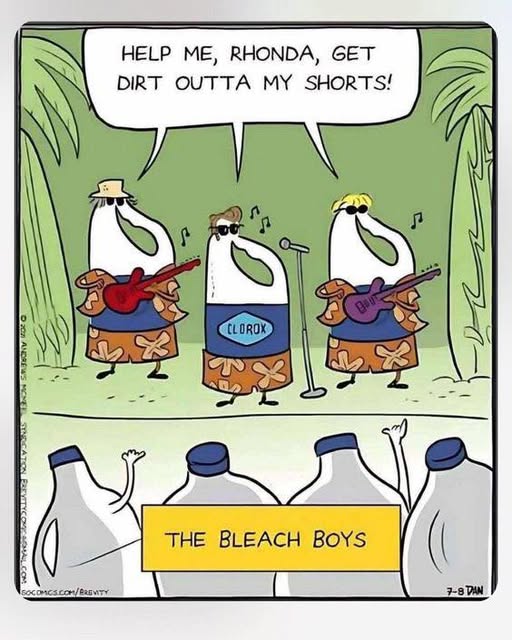 bleachboys.jpg