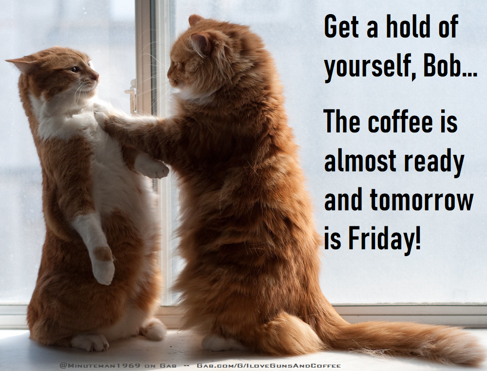Bob Cat and Thursday Coffee.png