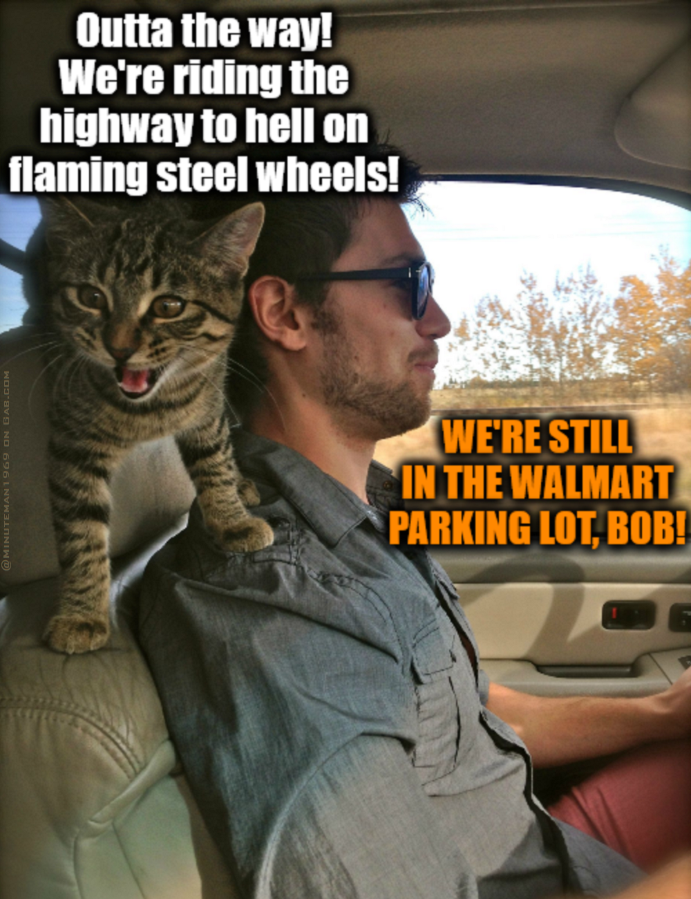 Bob Cat Flaming Steel Wheels.png