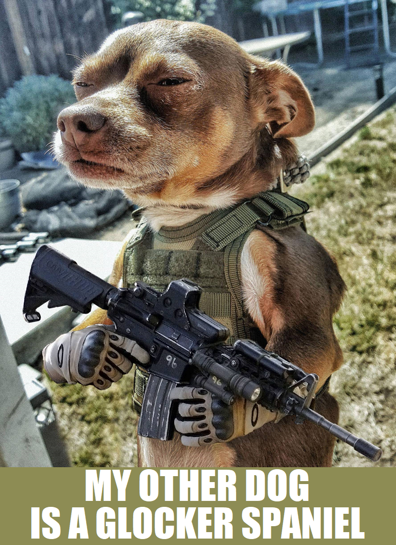 Boog Dogg - My Other Dog is a Glocker Spaniel.png