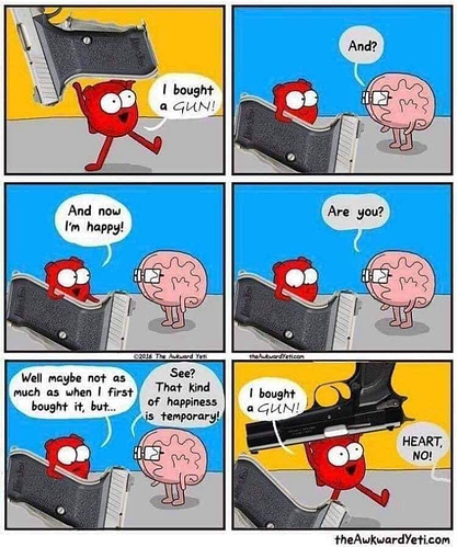 Bought a Gun - Heart vs Mind-Brain-Head.jpeg